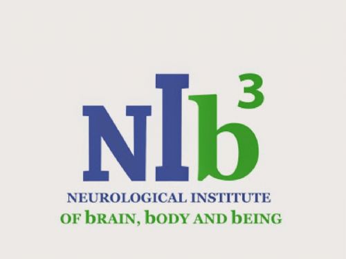 NIb3 Logo
